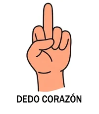 1788418378284.webp