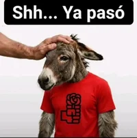 1788624369576.webp