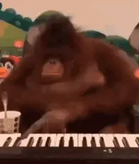 oceanmam-orangutan.webp