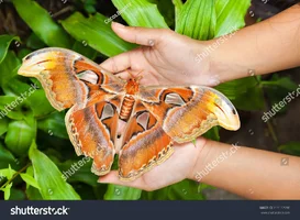 1789852052878.webp