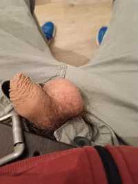 17903654834191865506112283675922.webp