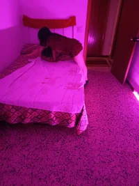 1000021657.webp
