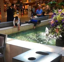 img_612x587x24_00748.webp