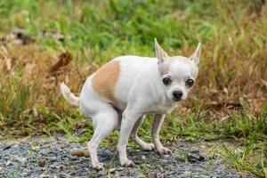 1000013158.webp