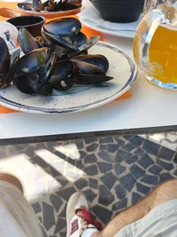 9093.webp