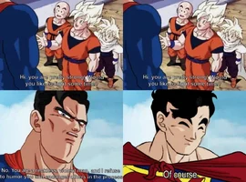 IMG_0305.webp