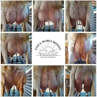 images-11.webp