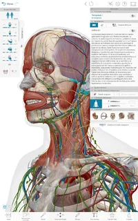 Screenshot_20261022-172852.webp