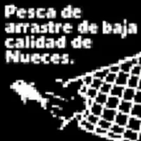 file_00000000b7bc820aa1548b1d00200e86.webp
