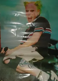 26050