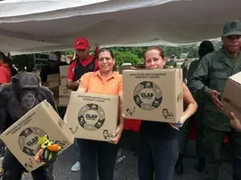 2019-03-13 09.35.32.webp