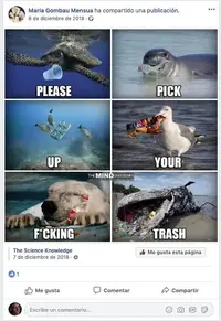 Captura de pantalla 2019-03-15 a las 9.29.54.webp