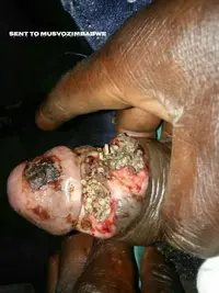 1500412324471 (1).webp