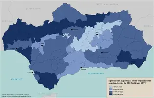 Explotaciones_mas100has_1999_s.webp