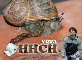 vota_hhch.webp