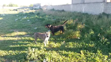 20190315_173618.webp