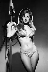 Raquel-Welch-Hottest-Sexiest-Photo-Collection-4.webp