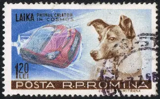 Posta_Romana_-_1959_-_Laika_120_B.webp