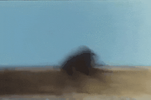 20190625_120600.gif