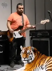 Screenshot_2019-07-04 Facebook.webp