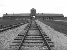 Auschwitz Birkenau.webp