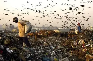 indian-landfill.webp