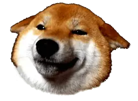 Doge-Head-PNG-Image.webp
