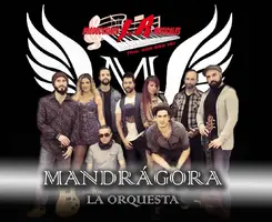 mandragorag.jpg