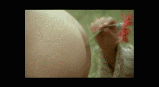 Iré como un caballo loco.gif