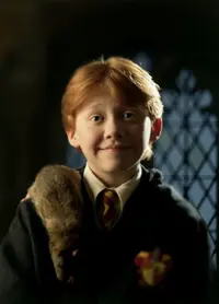 Ron_Weasley_WB_F1_Ron_with_Scabbers_on_shoulder_00393692.jpg