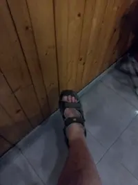 15653061747385075814438972366146.webp