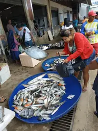 IMG_20190709_095507.webp