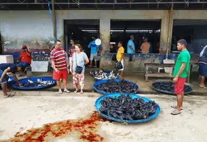 IMG_20190712_172841.webp