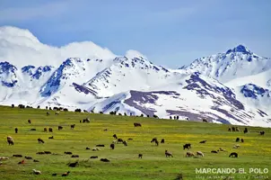 Itinerario-viajar-a-Kirguistan-Karakol-1.webp