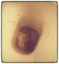 2019-08-21 15.13.29-01.webp