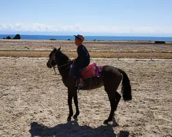 IMG_20190821_150822.webp