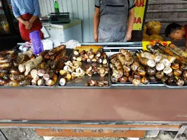 IMG_20190818_043627.webp