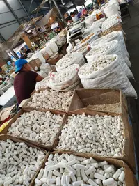 IMG_20190818_043206.webp