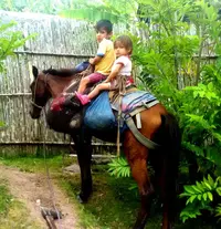 PicsArt_1454194334320.webp