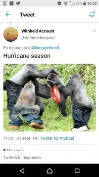 39456