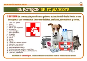 CONSEJOS - El botiquin de tu mascota.png
