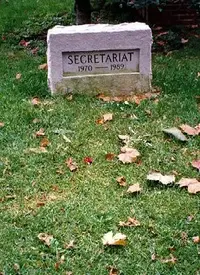 secretariat.jpg