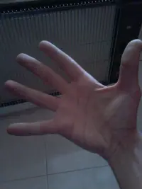 1517241961891-217888847.webp