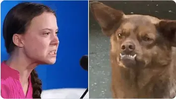 Captura de pantalla 2019-09-24 a las 10.08.47.webp