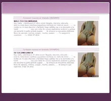 Screenshot_01.webp