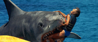 tumblr_oabb481FE91rp0vkjo1_500.gif