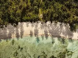 Screenshot_20191229-133652_1.png