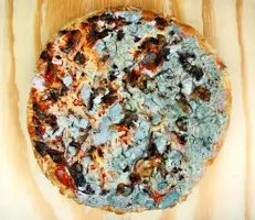 depositphotos_112592462-stock-photo-old-moldy-pizza.webp