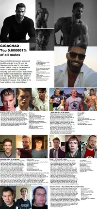 15171097729 (1).webp