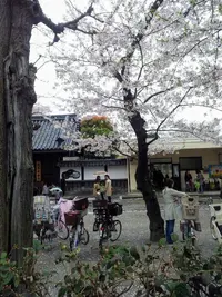 20120411_104128~3.jpg